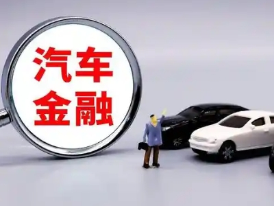环江押车贷款不是本人可以么?